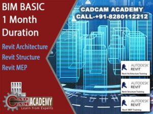 BIM Basic course for 1month Duration